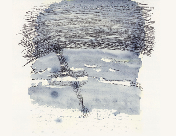 absence-et-oscillations